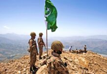 Pakistan Seeks Small Arms From US For ‘Operation Azm-i-Istehkam’