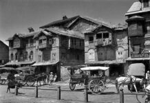Why Banning Horse Cart Is Not A Good Decision?