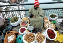 Video: Hokh Syun, Dried Vegetables That Kashmir Consumes in Winter