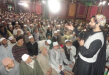 India Pushing Youth towards Violence: Malik