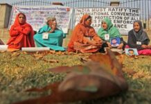 APDP Says 82% Lost In Security Forces Custody In Srinagar