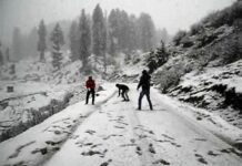 Fresh Snowfall Hits Doodhpathri in Budgam, Temperatures Plunge