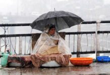 Traditional Fish Markets to be developed under Smart City Proposal: Govt A fishwife selling fish in a bussy market of Srinagar district fishing is the sole source of income of this community