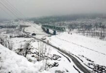Fresh Snowfall Disturbs Life In Valley