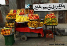 A Paradoxical View A fruit vendor -- Photo:Aamir Ashraf Gujri