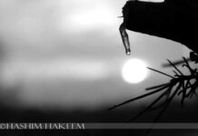 A Drop of Life