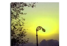 The Lamp of Nature