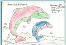 Dancing Dolphins