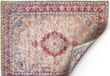 Kashmiri Silk Carpet Becomes Centrepiece of Modi’s Diplomatic Gift to Cyprus