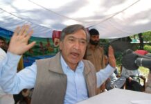M Y Tarigami
