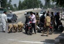 Panic Grips Srinagar Ahead of PM’s Visit
