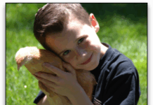 Ben And Hen