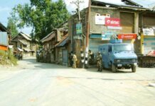 Shopian shuts on eighth consecutive day to mourn killings