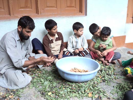 Amin at his home joined by children manually peeling the green coverings of almonds.