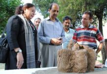 Sculpting A Change