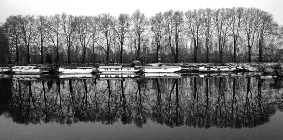 Ruffled Reflections: We often cast our image on running waters now, perhaps to make sense of our appearance. Mirrors of delight have been broken long back, when youth was put in prison. And our chinars, who would refresh weary travellers under their shadow too learnt to sail shadow on running waters in protest over the curb of travellers.