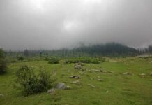 Destroy all un-exploded shells in Tosamaidan:RTI Movement
