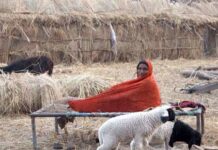 Stuck in backwardness
