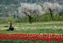 Flowering business
