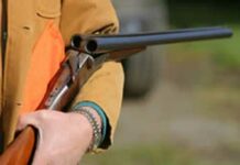 Gunning For Licences