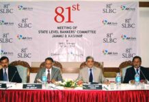 Banking on Kashmir: 2011