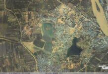 Wetland Versus Sports Field