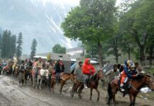 Unknown Toll of Yatra