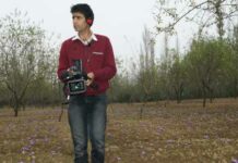 Career in film making