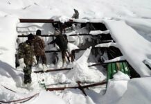 Devastating DRIFTS