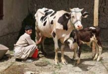 The Milk CONTROVERSY