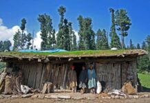 Only Half of Tribal Women in Jammu Kashmir Use Hygienic Menstrual Protection: Centre