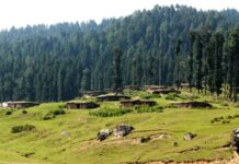 71 Forest fire incidents reported in Kashmir in 2016-18