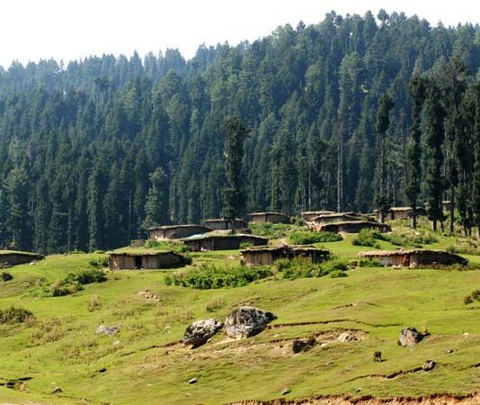 729 Hectares of Forest Land Diverted for Non-Forestry Use in Jammu Kashmir Since 2023: Centre