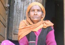 Resilience in Lolab