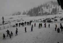 Tourist Resort Gulmarg Receives Fresh Snowfall