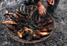 Smoked Fish: A Photo Feature