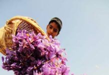 Jammu and Kashmir: CSIR-IIIM Partners With UP Firm to Develop Aromatic Products