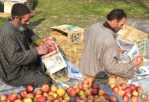 Shopian Set To Host National Conference On Apple Industry Issues