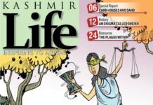 Modi & Kashmir