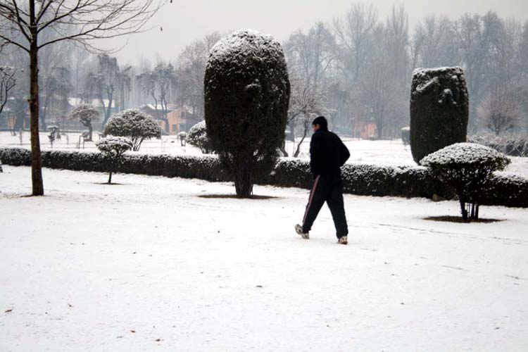 Photo: Bilal Bahadur
