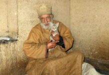 Ali Hurairah