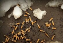 On World No Tobacco Day, Specialists Call for Innovative Tobacco Harm Reduction Strategies