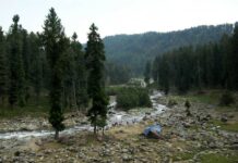 Illegal Excavation Near Doodganga Embankment Raises Flood Safety Concerns: EPG