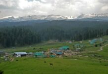 70 Volunteers Launch Major Clean-Up Across Kashmir Meadows, Target 100 Sacks of Plastic Waste