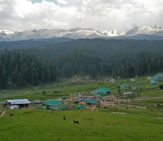 70 Volunteers Launch Major Clean-Up Across Kashmir Meadows, Target 100 Sacks of Plastic Waste