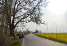 Life Behind Barriers