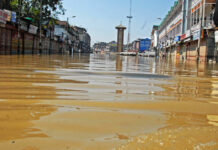 City, One Week After