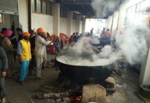The Sikh Camaraderie