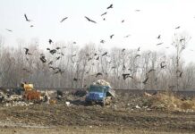 Dumping The Dumpers!