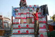 Apple export: tunnel to remain open 24×7